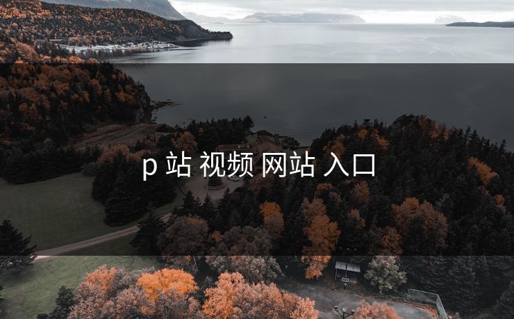 p 站 视频 网站 入口